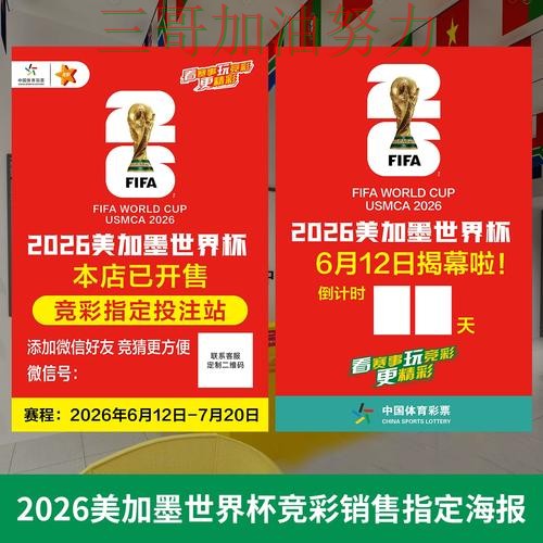 世界杯投注入口汇总总结：如何操作关键点解析（世界杯赛事中心）