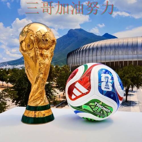 世界杯投注网站大全靠谱吗如何选？结合平台排行一次讲透（FIFA World Cup 2026）